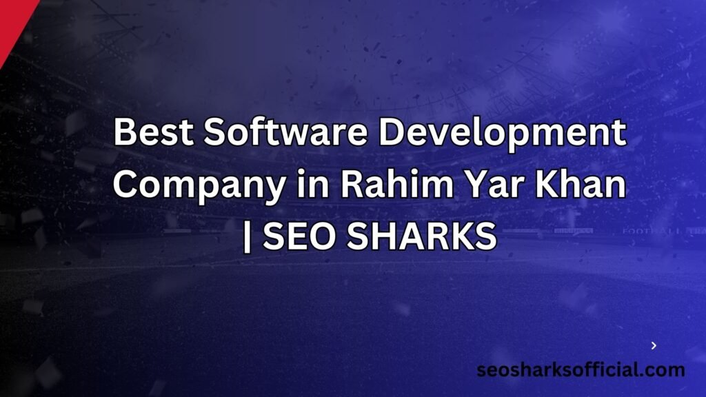 Best Software Development Company in Rahim Yar Khan | SEO SHARKS